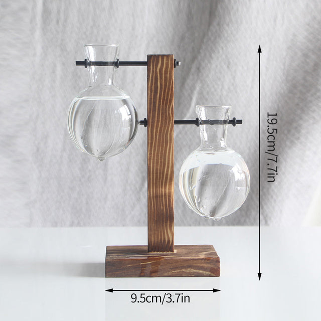 Vintage Glass Hydroponic Terrarium Plant Vase